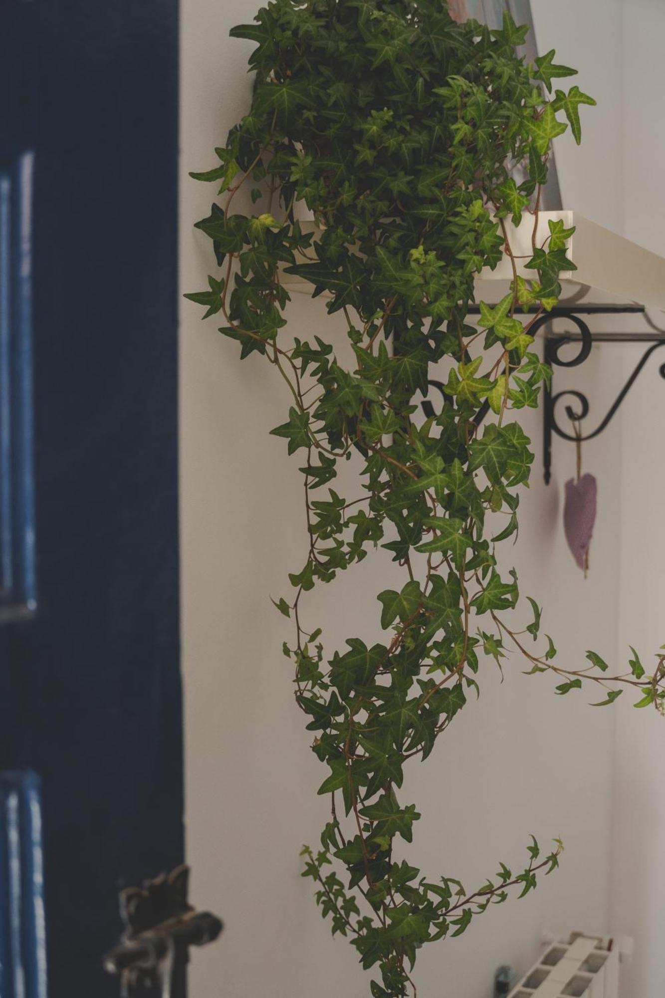 Holiday home Casa Con Encanto Corbera de Llobregat